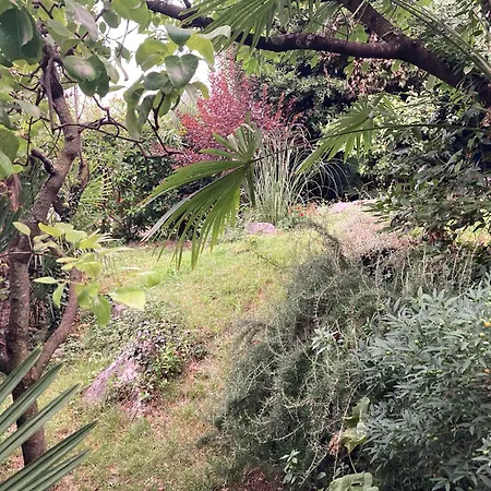 多丽丝公寓酒店 公寓
